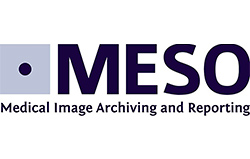 MESO- Gruppe Logo